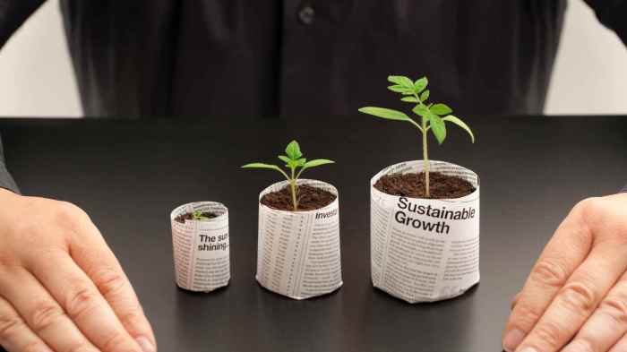 Investment Advice for 2024